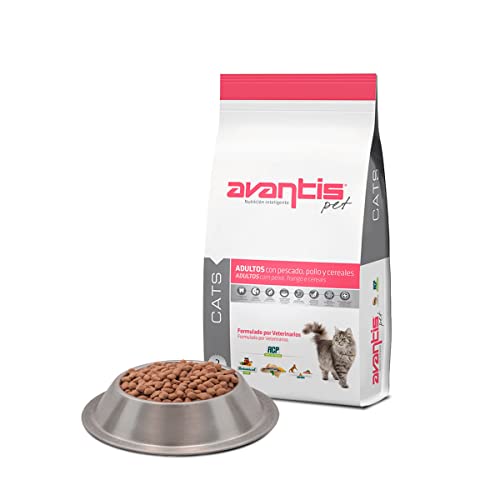 Avantis Pet Cats Futtermittel für Erwachsene Katzen, alle Arten von Rassen, 2 kg, leicht verdaulich mit Fisch, Huhn und Getreide, 100% komplettes und ausgewogenes Trockenfutter von Avantis Pet Nutrición Inteligente