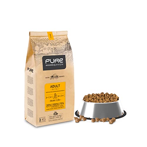 Avantis Pure Brave Mini, Futter für Erwachsene Hunde Kleiner Rassen, 2 kg, knuspriges und leicht zu kauendes Krokettenfutter, Huhn und Reis Avantis Pure Brave Mini, Futter für Erwachsene Hunde Kleiner Rassen, 2 kg, knuspriges und leicht zu kauendes Krokettenfutter, Huhn und Reis von Avantis Pet Nutrición Inteligente