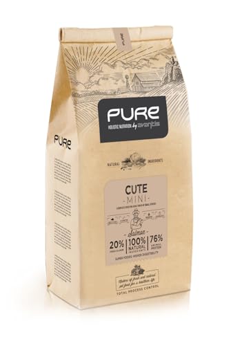 Cute Mini Lachs, Komplettnahrung mit Lachs, frisch zubereitet, für Erwachsene Hunde Kleiner Rassen, 12 kg von Avantis Pet Nutrición Inteligente