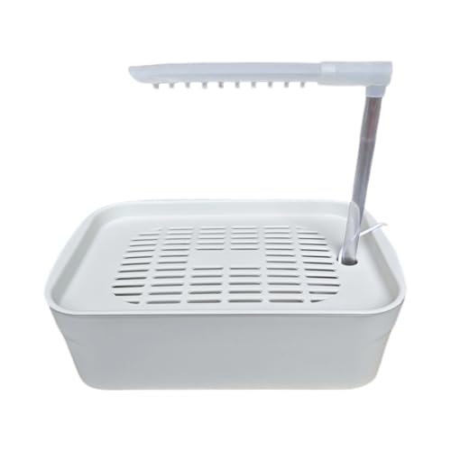 Avejjbaey Große Wasserströme Papageien Badewanne Automatisches Wasserzirkulation Duschbecken Für Vogel Täglich Gesunde Gefiederte Haus Gebrauchsvogel Badehaus Für Kleine Vogel Avejjbaey Große Wasserströme Papageien Badewanne Automatisches Wasserzirkulation Duschbecken Für Vogel Täglich Gesunde Gefiederte Haus Gebrauchsvogel Badehaus Für Kleine Vogel von Avejjbaey