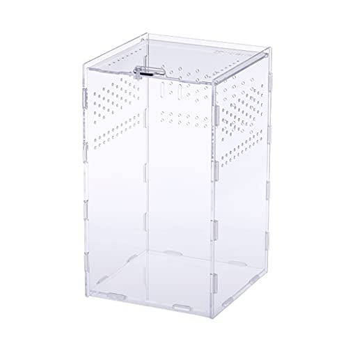 Futterbox Transparenter Behälter Acryl Terrarium für Spinnen klein für Box einfach zu Asse Acryl Lebensraum von Avejjbaey