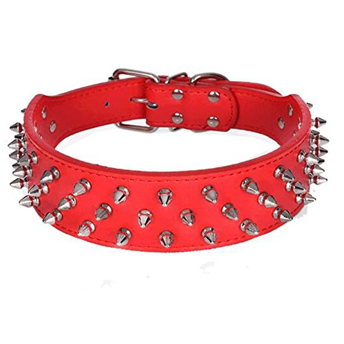 Avenpets Hundehalsband, Leder, vernickelt, mit Spikes, Pitbull Bullterrier, Rot, Größe S: Halsumfang 43,2–50,8 cm von Avenpets