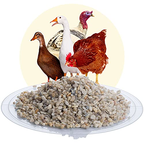 Avesgran Schicker Mineral Magenkies, 25 kg Geflügelgrit, Grit für Wachteln Hühner Vögel (3-6 mm) von Avesgran
