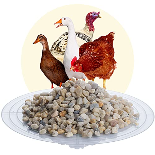 Avesgran Schicker Mineral Magenkies, 25 kg Geflügelgrit, Grit für Wachteln Hühner Vögel (4-8 mm) von Avesgran