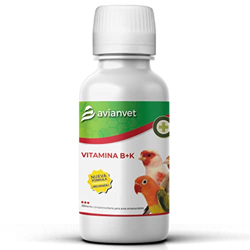 Avianvet Vitamin B+K | Flüssiges Nahrungsergänzungsmittel für Vögel | Erholung nach Behandlungen | Mit Cholinchlorid und Aminosäuren | 100 ml von AVIANVET