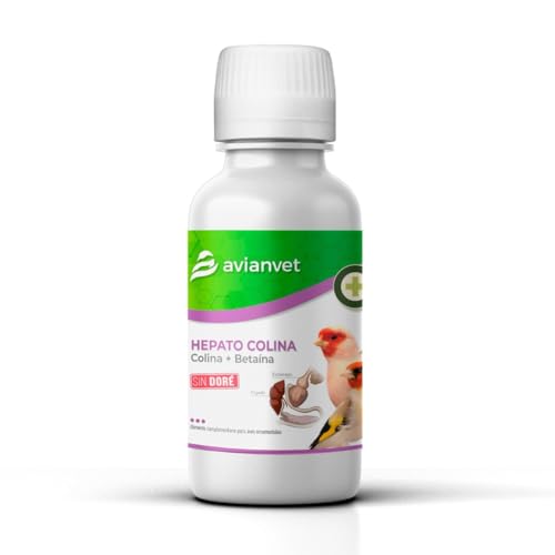 AVIANVET Vitamin Hepatocholin | Nahrungsergänzungsmittel für Vögel | Unterstützung der Leberfunktionen (100 ml) von AVIANVET