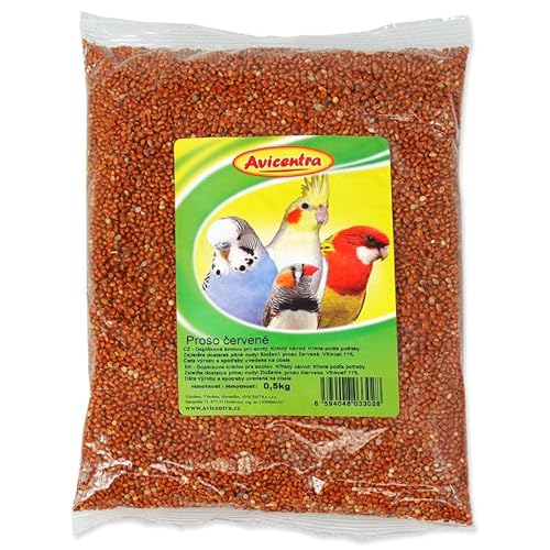 Avicentra Kolbenhirse Rot, Hirse Vogelfutter, Wellensittiche Futter, Wellensittichfutter, Vögel und Papageien Futter, 500g von Avicentra