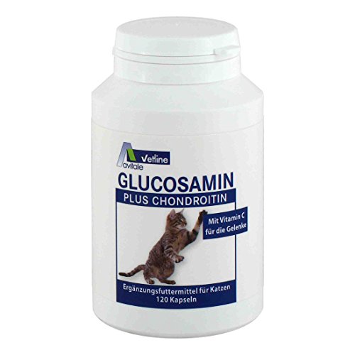 Avitale GLUCOSAMIN+CHONDROITIN Kapseln für Katzen 120 Stück Avitale GLUCOSAMIN+CHONDROITIN Kapseln für Katzen 120 Stück von Avitale