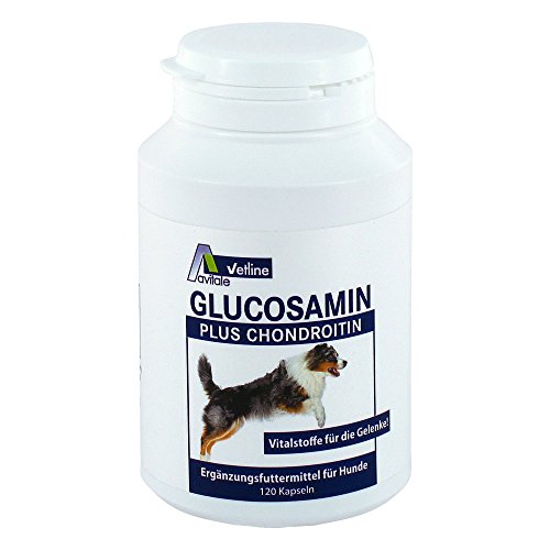 GLUCOSAMIN+CHONDROITIN Kapseln für Hunde 120 St GLUCOSAMIN+CHONDROITIN Kapseln für Hunde 120 St von Avitale