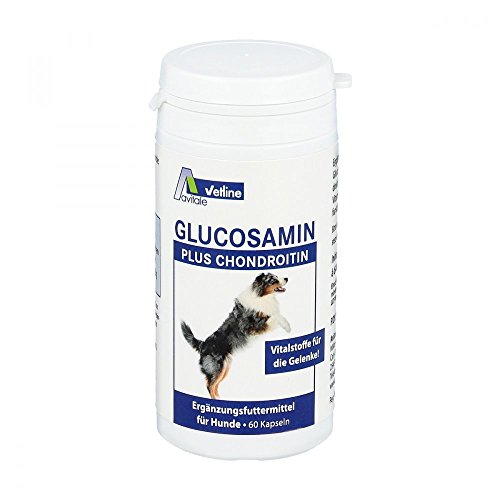 GLUCOSAMIN+CHONDROITIN Kapseln für Hunde 60 St GLUCOSAMIN+CHONDROITIN Kapseln für Hunde 60 St von Avitale
