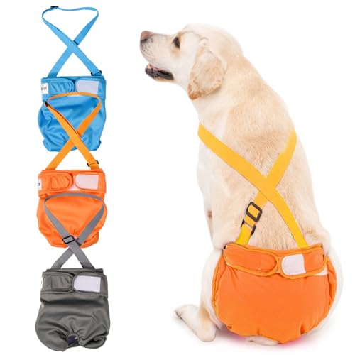 Avont 3 Stück Wiederverwendbare Hundewindeln, Hochsaugfähige, waschbare und umweltfreundliche Damenbinden Höschen für weibliche Haustiere -Blau/Orange/Grau Avont 3 Stück Wiederverwendbare Hundewindeln, Hochsaugfähige, waschbare und umweltfreundliche Damenbinden Höschen für weibliche Haustiere -Blau/Orange/Grau von Avont