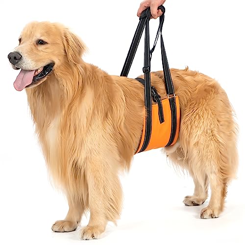 Avont Hunde Tragehilfe - Hundeschlaufe für große Hunde Hinterbeinstütze, Hebehilfe mit Griff und Gurt für Hüftdysplasie, Canines Lifter Support Harness for Elderly Dogs - Orange L von Avont