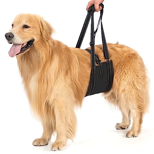 Avont Hunde Tragehilfe - Hundeschlaufe für große Hunde Hinterbeinstütze, Hebehilfe mit Griff und Gurt für Hüftdysplasie, Canines Lifter Support Harness for Elderly Dogs - Schwarz M von Avont