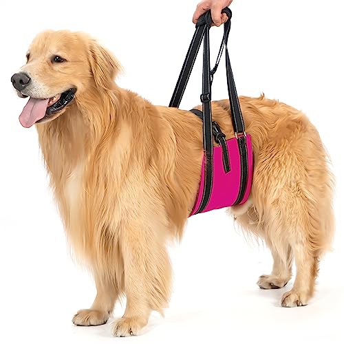 Avont Hunde Tragehilfe - Hundeschlaufe für große Hunde Hinterbeinstütze, Hebehilfe mit Griff und Gurt für Hüftdysplasie, Canines Lifter Support Harness for Elderly Dogs - Fuchsia L von Avont