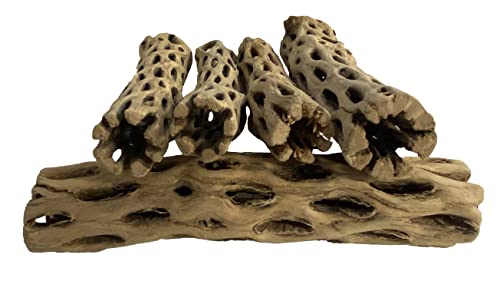 Awesome Aquatic Natürliches Cholla-Choya-Holz, 5 Stück, 15,2 cm, für Garnelen-Lebensraum und Lebensmittel, Einsiedlerkrebse, Plecos, Aquarium-Dekoration, senkt pH-Verstecke und Kauspielzeug, Awesome Aquatic Natürliches Cholla-Choya-Holz, 5 Stück, 15,2 cm, für Garnelen-Lebensraum und Lebensmittel, Einsiedlerkrebse, Plecos, Aquarium-Dekoration, senkt pH-Verstecke und Kauspielzeug, von Awesome Aquatic
