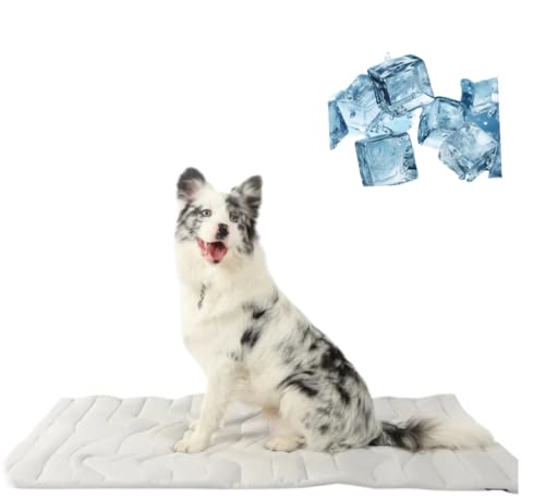 Awlve Dr.Pfoten Kühlmatte Pfotenchill Hund Die Innovative Für Hunde, Doppelseitiger Kühlstoff, Pfoten Chill SchüTzt Deinen Hund Vor üBerhitzung (L 122 * 71CM) von Awlve