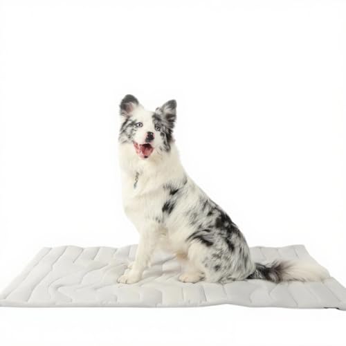 Awlve Dr.Pfoten Pfotenchill™ - Die Innovative Kühlmatte Für Hunde Hundekühlmatte Sicher und Komfortabel (Grau,XL(150 * 100CM)) von Awlve