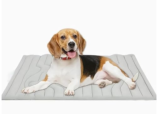 Dr Pfoten Pfotenchill - Die Innovative Kühlmatte für Hunde Reduziert Hitzestress UbermaBiges Hecheln Zusammenrollbar fur Auto, Reisen und Garten (Grau,XL(150 * 100CM)) von Awlve
