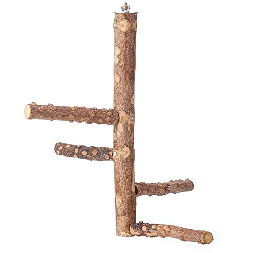 Vogelsitzstange aus Naturholz, zum Aufhängen, mehrere Zweige für Papageien, Sittiche, Spielzeug, Multi-Zweig, Vogelkäfig-Zubehör, Holz-Sitzstange für Vögel, Vogelständer für Nymphensittiche für von Awydky