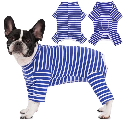 Axcimond Op Body Hund Langärmeliger Hundebody Nach Op für Kleine Mittelgroße Hunde Kastration Hund Hündin Rüde Welpen Pyjama Body Nach Op Hunde Wundschutz Anti Leck Operationsbody Hund Axcimond Op Body Hund Langärmeliger Hundebody Nach Op für Kleine Mittelgroße Hunde Kastration Hund Hündin Rüde Welpen Pyjama Body Nach Op Hunde Wundschutz Anti Leck Operationsbody Hund von Axcimond