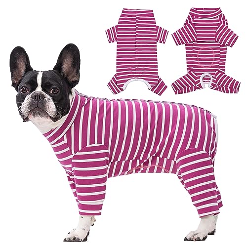 Axcimond Op Body Hund Langärmeliger Hundebody Nach Op für Kleine Mittelgroße Hunde Kastration Hund Hündin Rüde Welpen Pyjama Body Nach Op Hunde Wundschutz Anti Leck Operationsbody Hund Axcimond Op Body Hund Langärmeliger Hundebody Nach Op für Kleine Mittelgroße Hunde Kastration Hund Hündin Rüde Welpen Pyjama Body Nach Op Hunde Wundschutz Anti Leck Operationsbody Hund von Axcimond