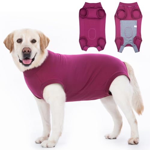 Axcimond Hundebody Nach Op Leckschutz Op Body Hund Kastration Hündin Rüde Medical Pet Shirt Hund Einteiler Wundschutzanzüge für Hunde Mit Klettverschluss Alternativen zu Kegel und Halskrause Hunde von Axcimond