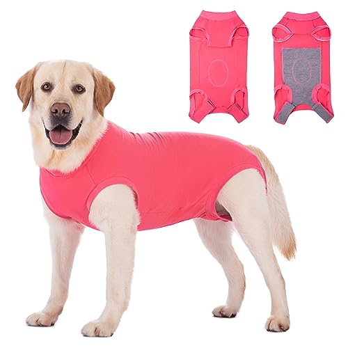 Axcimond Hundebody Nach Op Leckschutz Op Body Hund Kastration Hündin Rüde Medical Pet Shirt Hund Einteiler Wundschutzanzüge für Hunde Mit Klettverschluss Alternativen zu Kegel und Halskrause Hunde Axcimond Hundebody Nach Op Leckschutz Op Body Hund Kastration Hündin Rüde Medical Pet Shirt Hund Einteiler Wundschutzanzüge für Hunde Mit Klettverschluss Alternativen zu Kegel und Halskrause Hunde von Axcimond
