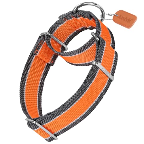 Axdvk Martingale Halsband für Hunde-4 cm Breites, 1600D Hochfestes Ausbruchssicheres Nylon-Halsband mit 3-Farben Streifen-Zugfest & Langlebig für Mittelgroße bis Sehr Große Hunde M, Orange & Grau von Axdvk