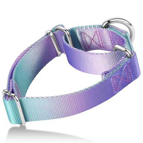 Axdvk Martingale-Halsband für Hunde – Bunter Farbverlauf, Modisches Design & Ausbruchsicher – Weich & Langlebig – Für Spaziergänge, Training, Outdoor und Alltag, L,Lila-Grün Verlauf Axdvk Martingale-Halsband für Hunde – Bunter Farbverlauf, Modisches Design & Ausbruchsicher – Weich & Langlebig – Für Spaziergänge, Training, Outdoor und Alltag, L,Lila-Grün Verlauf von Axdvk