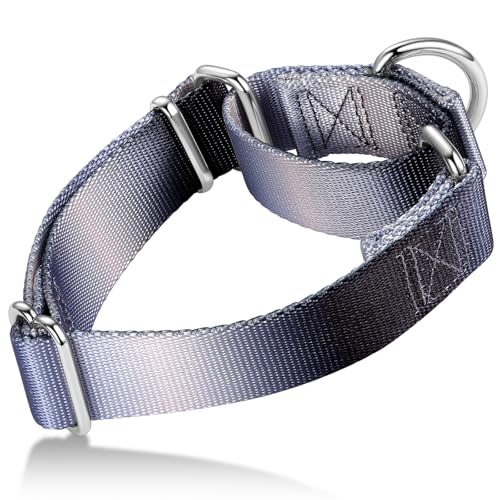 Axdvk Martingale-Halsband für Hunde – Bunter Farbverlauf, Modisches Design & Ausbruchsicher – Weich & Langlebig – Für Spaziergänge, Training, Outdoor und Alltag, L,Silber-Grau-Schwarz Verlauf Axdvk Martingale-Halsband für Hunde – Bunter Farbverlauf, Modisches Design & Ausbruchsicher – Weich & Langlebig – Für Spaziergänge, Training, Outdoor und Alltag, L,Silber-Grau-Schwarz Verlauf von Axdvk