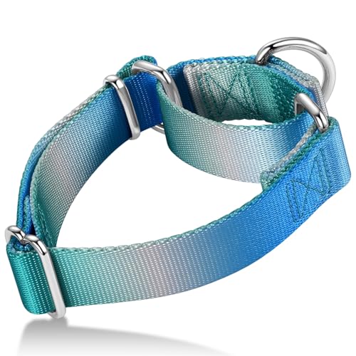 Axdvk Martingale-Halsband für Hunde – Bunter Farbverlauf, Modisches Design & Ausbruchsicher – Weich & Langlebig – Für Spaziergänge, Training, Outdoor und Alltag, M, Blau-Grün Verlauf Axdvk Martingale-Halsband für Hunde – Bunter Farbverlauf, Modisches Design & Ausbruchsicher – Weich & Langlebig – Für Spaziergänge, Training, Outdoor und Alltag, M, Blau-Grün Verlauf von Axdvk