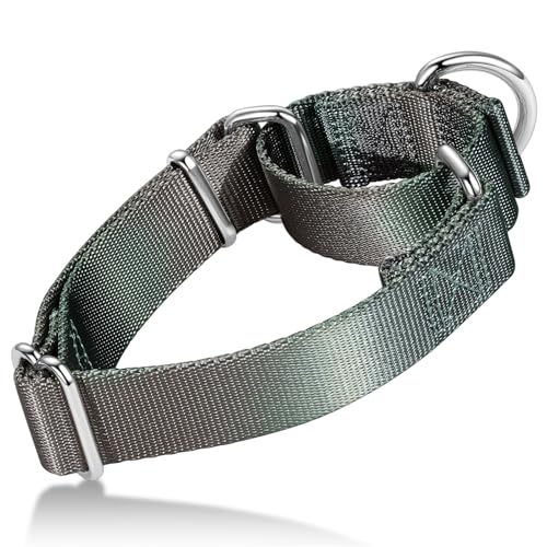 Axdvk Martingale-Halsband für Hunde – Bunter Farbverlauf, Modisches Design & Ausbruchsicher – Weich & Langlebig – Für Spaziergänge, Training, Outdoor und Alltag, M, Dunkelgrau Verlauf Axdvk Martingale-Halsband für Hunde – Bunter Farbverlauf, Modisches Design & Ausbruchsicher – Weich & Langlebig – Für Spaziergänge, Training, Outdoor und Alltag, M, Dunkelgrau Verlauf von Axdvk