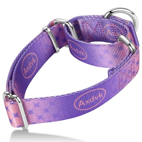 Axdvk Martingale-Halsband für Hunde – Bunter Farbverlauf, Modisches Design & Ausbruchsicher – Weich & Langlebig – Für Spaziergänge, Training, Outdoor und Alltag, M, Lila Muster Axdvk Martingale-Halsband für Hunde – Bunter Farbverlauf, Modisches Design & Ausbruchsicher – Weich & Langlebig – Für Spaziergänge, Training, Outdoor und Alltag, M, Lila Muster von Axdvk