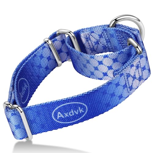 Axdvk Martingale-Halsband für Hunde – Bunter Farbverlauf, Modisches Design & Ausbruchsicher – Weich & Langlebig – Für Spaziergänge, Training, Outdoor und Alltag, S+, Blau Muster Axdvk Martingale-Halsband für Hunde – Bunter Farbverlauf, Modisches Design & Ausbruchsicher – Weich & Langlebig – Für Spaziergänge, Training, Outdoor und Alltag, S+, Blau Muster von Axdvk