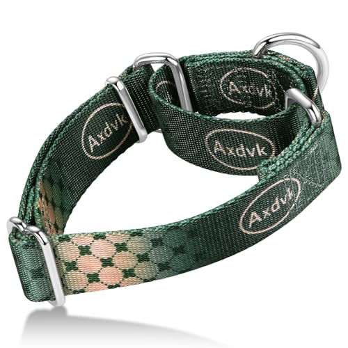 Axdvk Martingale-Halsband für Hunde – Bunter Farbverlauf, Modisches Design & Ausbruchsicher – Weich & Langlebig – Für Spaziergänge, Training, Outdoor und Alltag, S+, Dunkelgrün Muster Axdvk Martingale-Halsband für Hunde – Bunter Farbverlauf, Modisches Design & Ausbruchsicher – Weich & Langlebig – Für Spaziergänge, Training, Outdoor und Alltag, S+, Dunkelgrün Muster von Axdvk