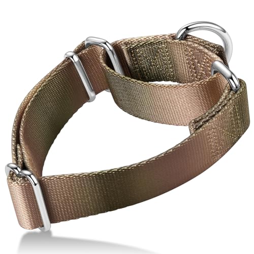 Axdvk Martingale-Halsband für Hunde – Bunter Farbverlauf, Modisches Design & Ausbruchsicher – Weich & Langlebig – Für Spaziergänge, Training, Outdoor und Alltag, S+, Khaki Verlauf Verlauf Axdvk Martingale-Halsband für Hunde – Bunter Farbverlauf, Modisches Design & Ausbruchsicher – Weich & Langlebig – Für Spaziergänge, Training, Outdoor und Alltag, S+, Khaki Verlauf Verlauf von Axdvk