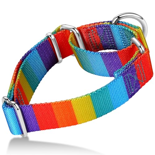 Axdvk Martingale-Halsband für Hunde – Bunter Farbverlauf, Modisches Design & Ausbruchsicher – Weich & Langlebig – Für Spaziergänge, Training, Outdoor und Alltag, S+, Regenbogen Axdvk Martingale-Halsband für Hunde – Bunter Farbverlauf, Modisches Design & Ausbruchsicher – Weich & Langlebig – Für Spaziergänge, Training, Outdoor und Alltag, S+, Regenbogen von Axdvk