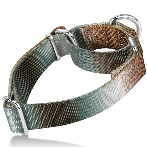 Axdvk Martingale-Halsband für Hunde – Bunter Farbverlauf, Modisches Design & Ausbruchsicher – Weich & Langlebig – Für Spaziergänge, Training, Outdoor und Alltag, S+, Silber-Braun Verlauf Axdvk Martingale-Halsband für Hunde – Bunter Farbverlauf, Modisches Design & Ausbruchsicher – Weich & Langlebig – Für Spaziergänge, Training, Outdoor und Alltag, S+, Silber-Braun Verlauf von Axdvk