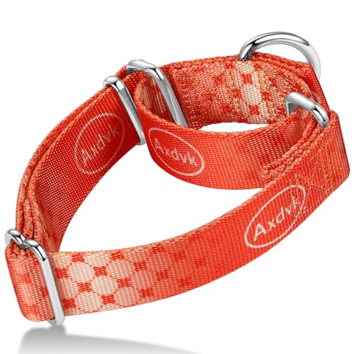 Axdvk Martingale-Halsband für Hunde – Bunter Farbverlauf, Modisches Design & Ausbruchsicher – Weich & Langlebig – Für Spaziergänge, Training, Outdoor und Alltag,S+, Orange Muster Axdvk Martingale-Halsband für Hunde – Bunter Farbverlauf, Modisches Design & Ausbruchsicher – Weich & Langlebig – Für Spaziergänge, Training, Outdoor und Alltag,S+, Orange Muster von Axdvk