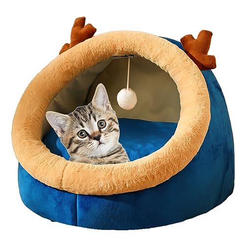 Axfbim Katzenbett für Indoor-Katzen, universelles Katzenbett, Katzenbett mit abnehmbarem, waschbarem, gepolstertem Kissen, für Katzen bis zu 10 kg (Blau, ca. 42 x 42 x 35 cm) von Axfbim