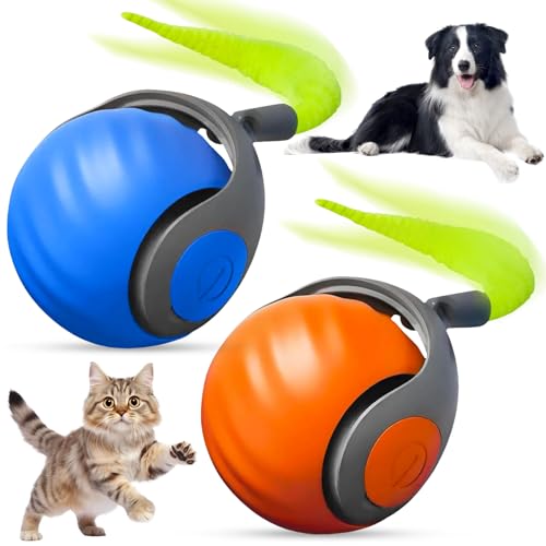 Axinyijia 2 Stück Katzenspielzeug Interaktiv Spielball für Katzen Speedy Tail 2.0 Interaktives Katzenspielzeug Ball Cat Toys Axinyijia 2 Stück Katzenspielzeug Interaktiv Spielball für Katzen Speedy Tail 2.0 Interaktives Katzenspielzeug Ball Cat Toys von Axinyijia