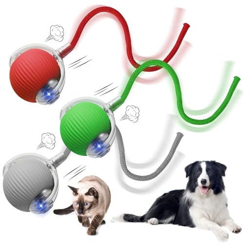 Axinyijia 3 Stück Interaktives Katzenspielzeug Ball Spielzeug Interaktiver Spielball für Katzen Hunde Axinyijia 3 Stück Interaktives Katzenspielzeug Ball Spielzeug Interaktiver Spielball für Katzen Hunde von Axinyijia