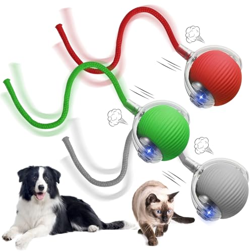 Axinyijia 3 Stück Interaktives Katzenspielzeug Katzenball Interaktiver Spielball mit Seil für Katzen Hunde (Rot+Grün+Grau) von Axinyijia
