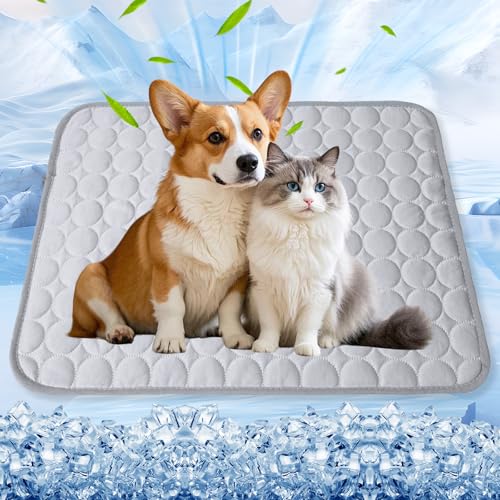 Axinyijia Kühldecke Hunde Katze für Sommer, 70x55 cm Hundekühlmatte Selbstkühlend, Große Kühlmatte Hund Testsieger Kühlbett Axinyijia Kühldecke Hunde Katze für Sommer, 70x55 cm Hundekühlmatte Selbstkühlend, Große Kühlmatte Hund Testsieger Kühlbett von Axinyijia