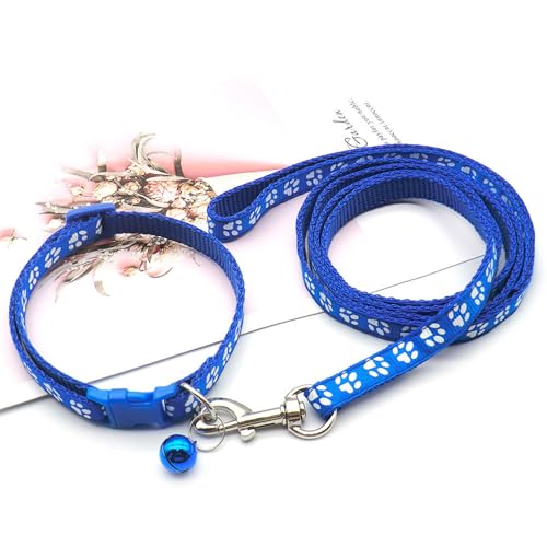 2 Stück Verstellbare Hundehalsband Zugseil Weich Nylon Material Hunde Halsband Süßes Pfotenabdruck Muster Hundehalsbänder für Puppy Kitten Training Verstellbare Länge 19cm-32cm Blau 2 Stück Verstellbare Hundehalsband Zugseil Weich Nylon Material Hunde Halsband Süßes Pfotenabdruck Muster Hundehalsbänder für Puppy Kitten Training Verstellbare Länge 19cm-32cm Blau von Ayaluck