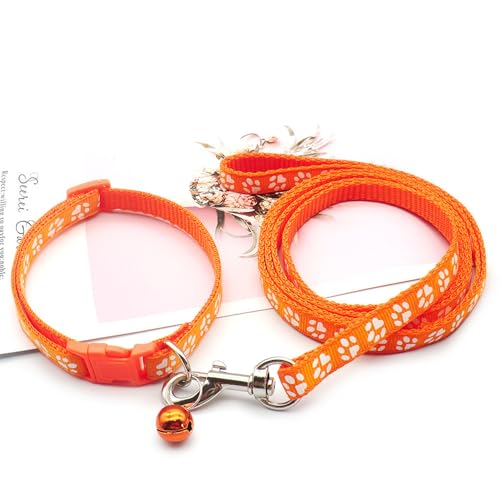 2 Stück Weich Kleiner Hundehalsband Zugseil Verstellbare Hunde Halsband Orange 2 Stück Weich Kleiner Hundehalsband Zugseil Verstellbare Hunde Halsband Orange von Ayaluck