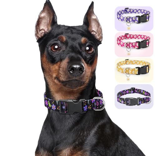 hundehalsband mädchen von Ayaseen