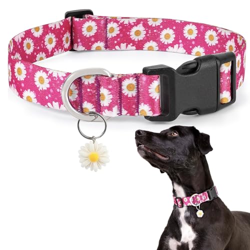 hundehalsband mädchen von Ayaseen