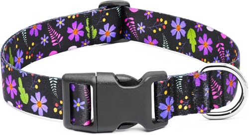 hundehalsband mädchen von Ayaseen