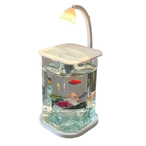 Ayizhiniu Aquarium Kampffische spezielle ultraweiße kleine Faule Glastank Wohnzimmer kreative Desktop-Ornamente High-End-Zierlampe Ayizhiniu Aquarium Kampffische spezielle ultraweiße kleine Faule Glastank Wohnzimmer kreative Desktop-Ornamente High-End-Zierlampe von Ayizhiniu